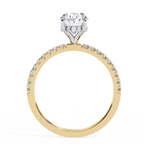 1 Ct Oval Hidden Halo Diamond Engagement Ring